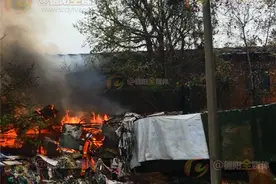 牛棚突然起火 四头牛被烧伤无人伤亡图片