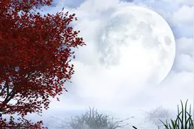 世界上什么都有，就是没有如果！（写得不错）视频封面