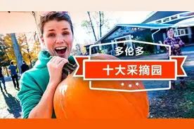 美味多伦多| 我要在果蔬园做一个幸福的“小农夫”图片