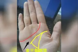 手相事业线出现Y字形分叉，人生必有重大转折，财门大开必发大财视频封面