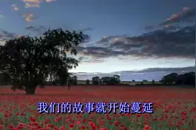 《伤一次疼一辈子》，永远不要去骗一个对你好的人！视频封面