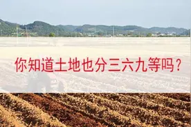 80%的农民都不知道，你家的地早就被偷偷标上了等级！视频封面