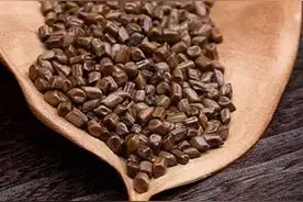 清肝明目决明子 用对方法帮大忙图片