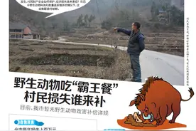 野生动物吃“霸王餐”  村民损失谁来补图片