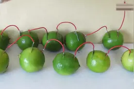 小伙买了一袋柠檬准备发电给手机充电，最后只能点亮小灯泡视频封面