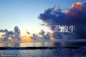 经典语录：8个句子，真正的牛视频封面
