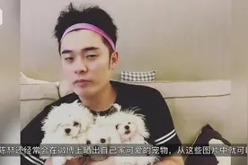 陈赫上海豪宅曝光，与王思聪成邻居，一平房价够买辆车！