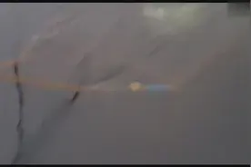 实拍帝王蟹捕捉全过程，难怪卖这么贵一只！视频封面