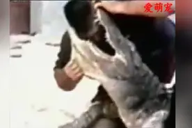 实拍头放鳄鱼嘴里表演时出现意外，表演者险些丧命！找死的节奏！图片