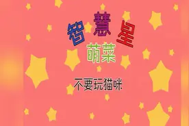 萌菜智慧星；不要玩猫咪图片