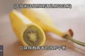 太神奇！教你如何在家种出香蕉和奇异果的综合体图片