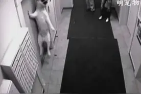 最新监拍电梯吊狗事件，究竟还要发生几次才能让你警觉？视频封面