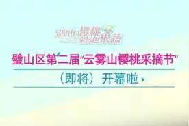 璧山樱桃节吃喝玩乐全攻略图片