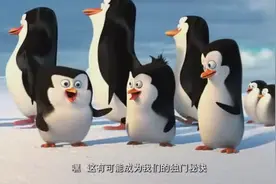 黑白色的熊猫，黑白色的企鹅，为什么黑白色的动物都这么萌图片