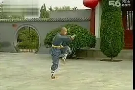 武僧表演流畅的少林大罗汉拳（套路）图片