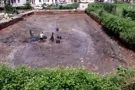 抽干池塘水，塘底密密麻麻的都是鱼，大丰收啊图片
