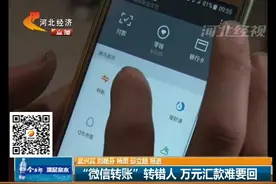 邢台：微信错转10000元，加好友一定要谨慎！视频封面