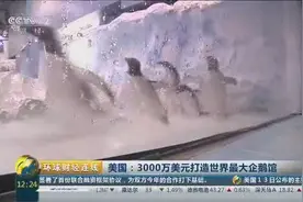美国：耗资3000万美元打造最大企鹅馆图片