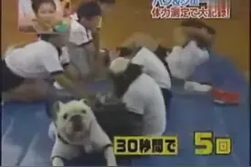 笑死我了！大猩猩坐仰卧起坐，求狗的心里阴影面积视频封面