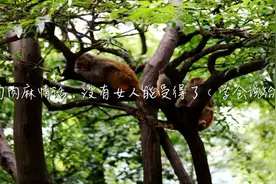 这6句肉麻情话，没有女人能受得了（学会说给她听）视频封面