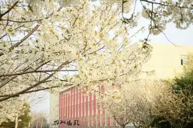 许昌学院赏花季图片
