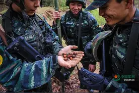 武警特战队员的荒野生存：两天只有一个苹果图片