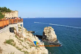 大连环城旅游巴士，4月下旬要开通啦！图片