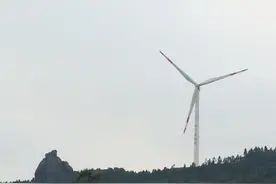 高州游玩新去处：图片