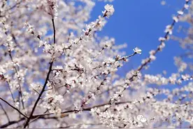 3.22E览电商 | 微信公众号1/3停更成僵尸号图片
