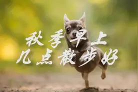 秋季早上几点散步好视频封面