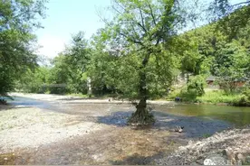 请坐高铁来泾县（三）：水墨汀溪（“水墨能量”新天地）图片