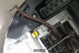 他将很久没清洁的扫地机器人拆开后，超惊悚的画面差点让他尿失禁图片