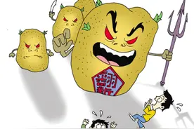 你听说过“翻新土豆”吗图片