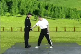 一招制敌特警教你金丝缠腕图片