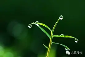 贺宏发 ：记忆有关奶奶的二三事图片