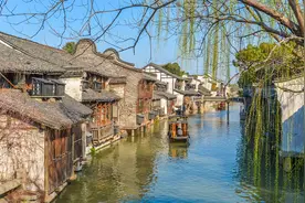 在乌镇，闻到了春天的气息图片
