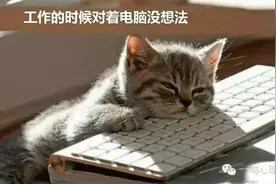 看看这些内容，瞬间被治愈了图片