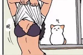 超萌，如果猫咪会说话，它们一定是这样的！图片
