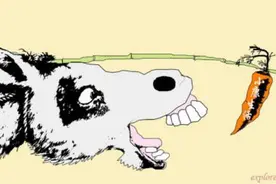 我们是不是拉着磨去追赶萝卜的驴子图片