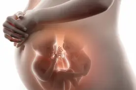 辣妈帮首席营养师告诉你，孕期“长胎不长肉”的秘密图片