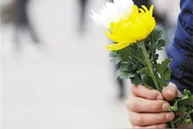 又到寄托哀思时，清明节扫墓上什么花好，怎样包装菊花？图片