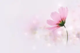 歪理歪说（十三）无聊2图片