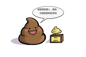狗狗便便的颜色意味着什么呢？图片
