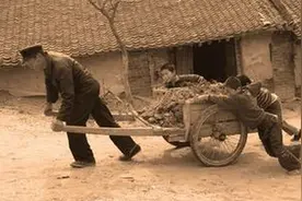 辛苦劳累一辈子，却无福享乐的生肖TOP3图片