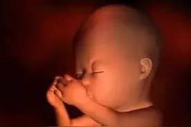 宝宝，因为你，生活如此美好图片