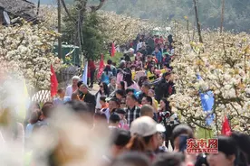 三明建宁举办“花海跑”活动 跑友体验清新花乡图片