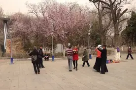 春暖花开，沈阳八一公园中老年交际舞跳起图片