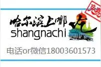 这里有老虎，有长颈鹿，它们天天这里陪你喝咖啡图片