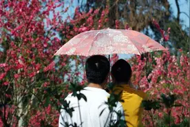 阳春三月桃花开，教你如何催旺你的桃花图片