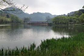 我和春天有个约会--一位医生的随手拍图片